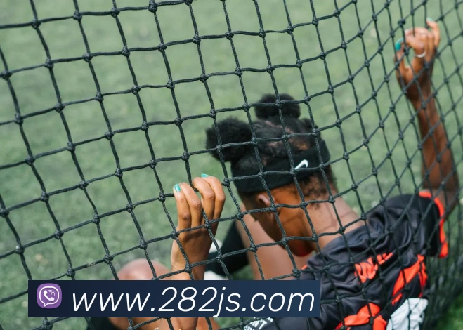 金沙娱乐官方网站APP 封面图